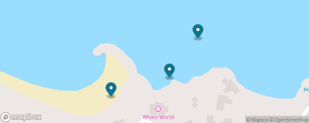 Map of the stops on “Whaling Station & Wildlife at Discovery Bay”