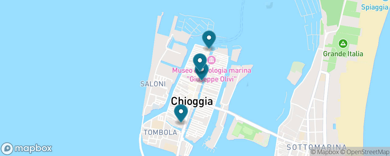 Map of the stops on “Free Chioggia: Fish Market, Canals and Ponte Vigo”