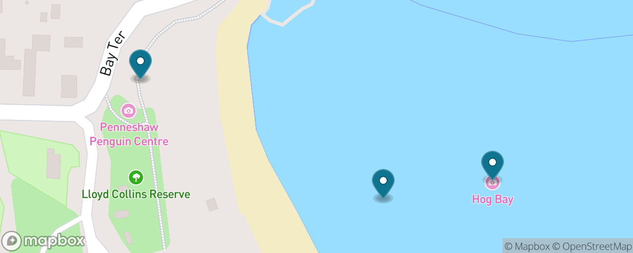 Map of the stops on “Hog Bay Family Morning”
